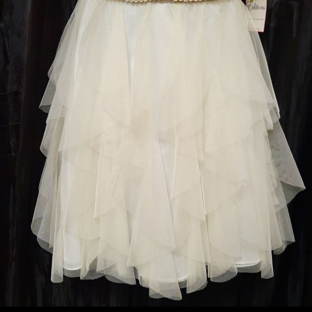 Rare Editions Pink Embroidered Lace Dress - Picture 4 of 10
